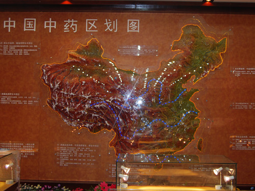 中国中药区地形图模型