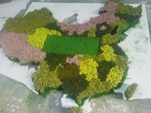 中国地图绿植模型