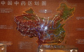 中药区地形图模型