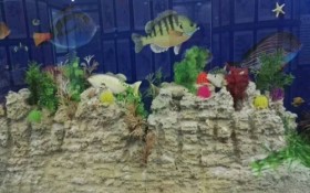 水族馆珊瑚道具模型
