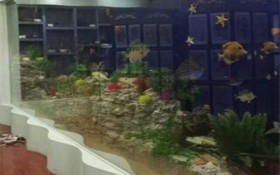 海洋馆珊瑚假山模型